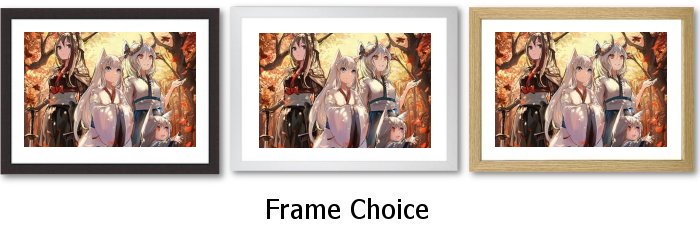 Frame Choice